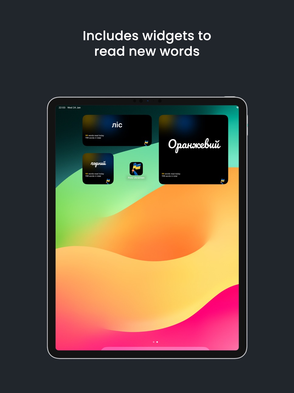 iPad screenshot