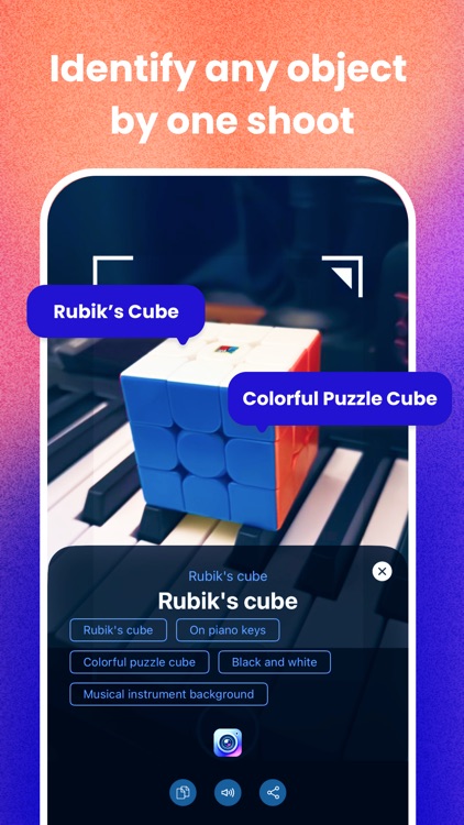 EZ Lens - Translate & Cartoon