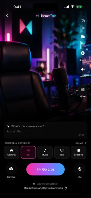 StreamTwin screenshot 2