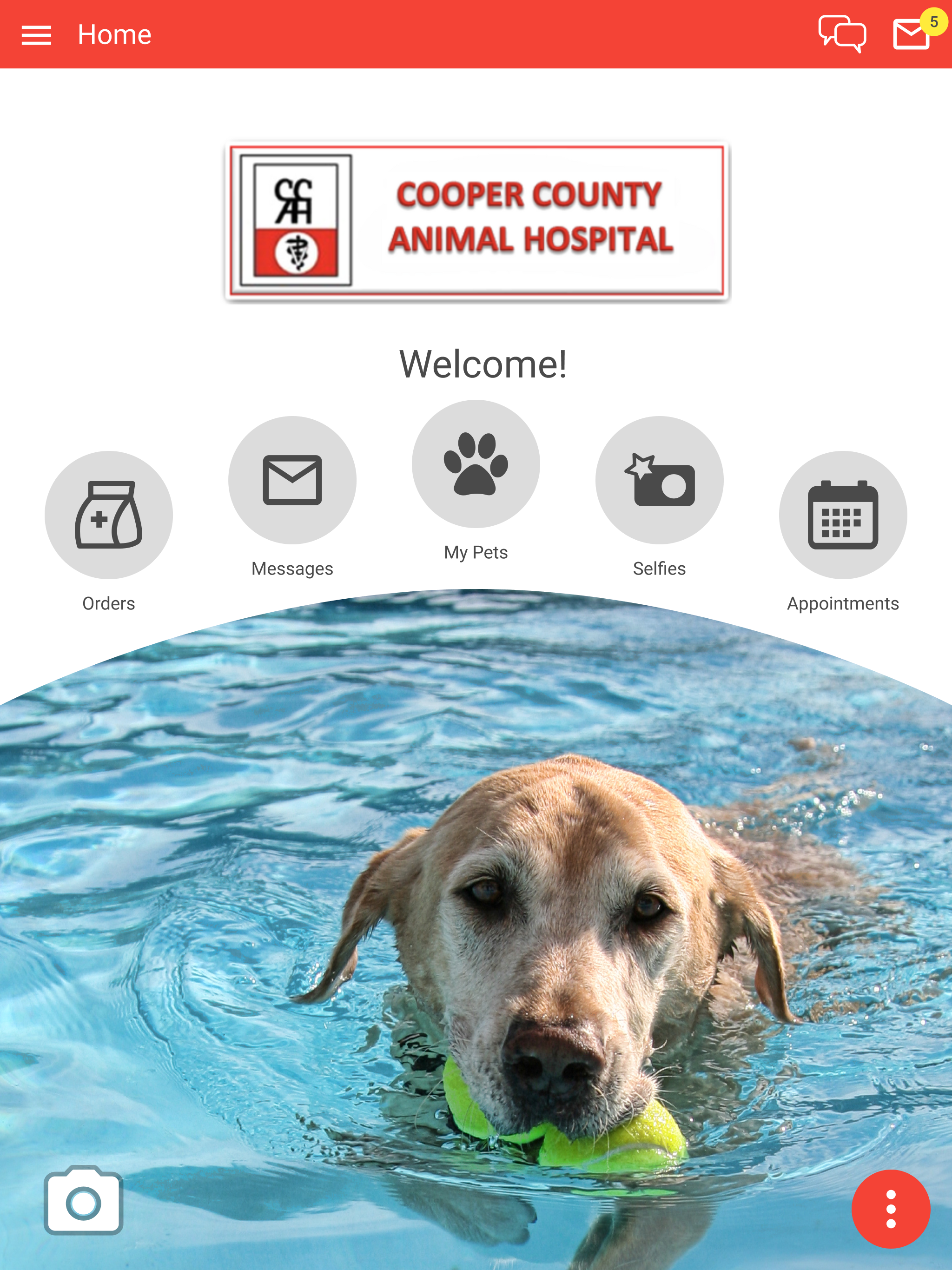 Cooper County Animal Hospital screenshot 6