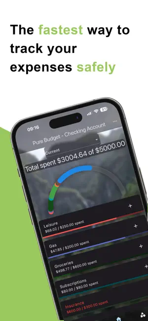 Pure Budget screenshot 1