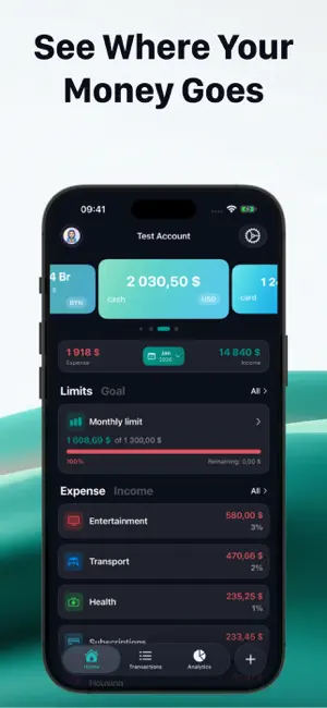 LuCent: Fast Expense Tracker screenshot 1