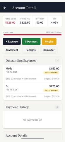 Family Loan Tracker Screenshot 2 of 3
