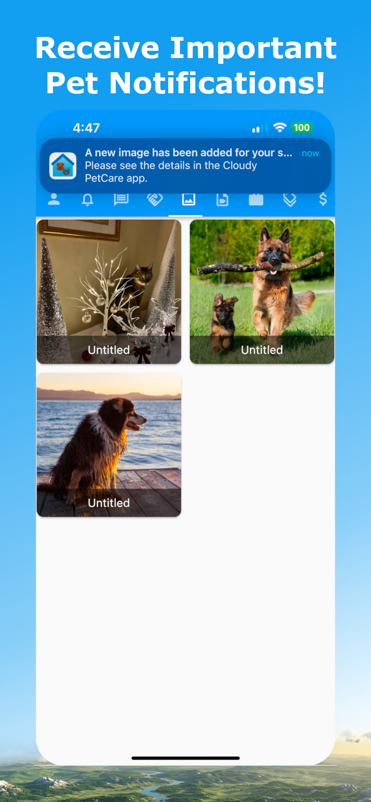 Cloudy Pet Sitter & Dog Walker screenshot 8