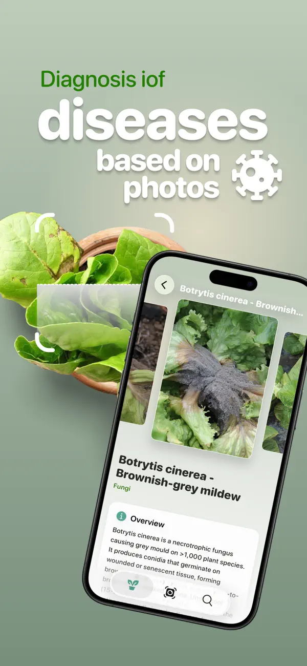 Screenshot #3 pour Plant Identifier №1
