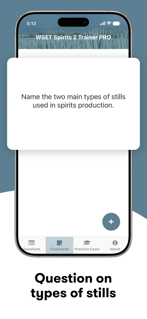 Screenshot #1 pour Wset Spirits 2 Trainer Pro