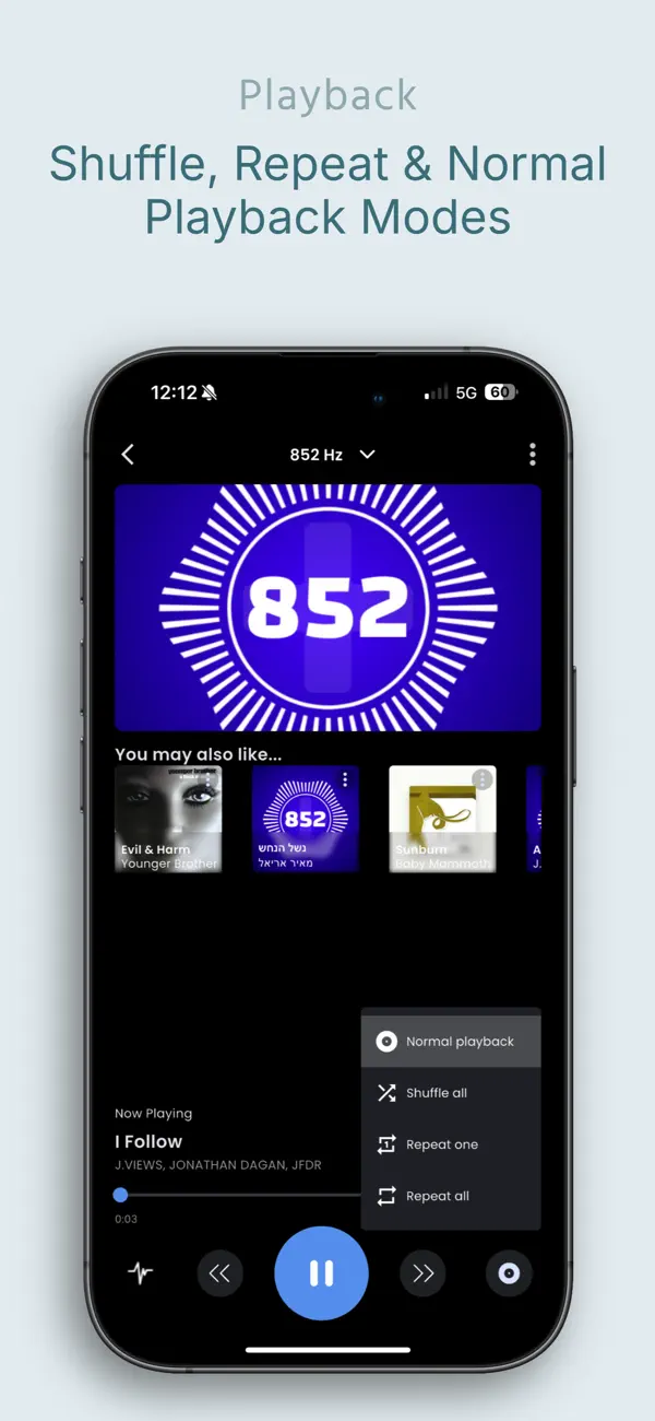 Screenshot #3 pour 852 Player Plus