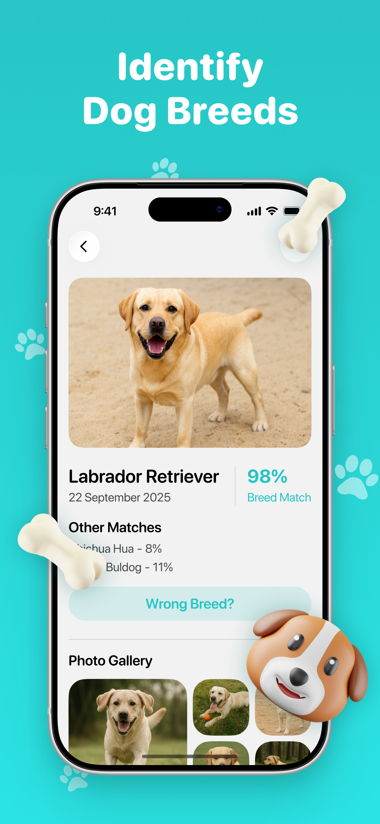 Dog Scanner - Breed Identifier