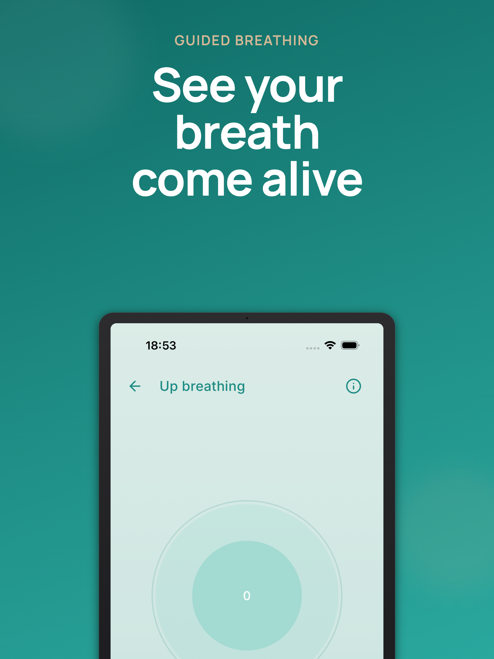 Breathing in Labour screenshot 10