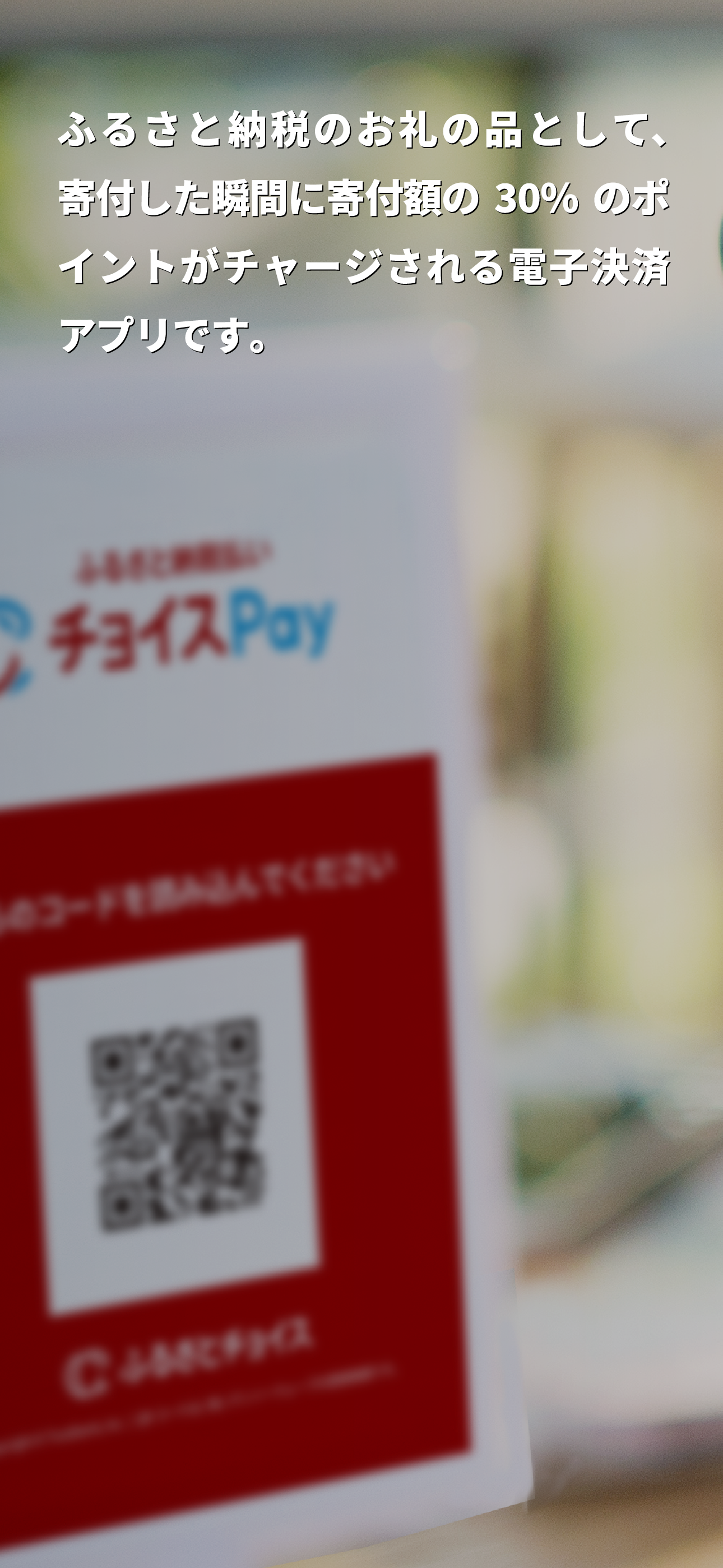 ふるさと納税払い チョイスPay