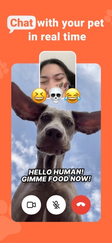 Furzy: Talking Pet AI Videos screenshot
