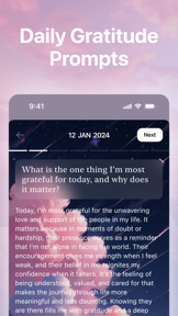 Gratitude Daily Journal, Diary screenshot
