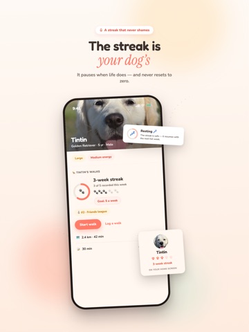 Amidipet: Dog Walks & Friends iPad screenshot
