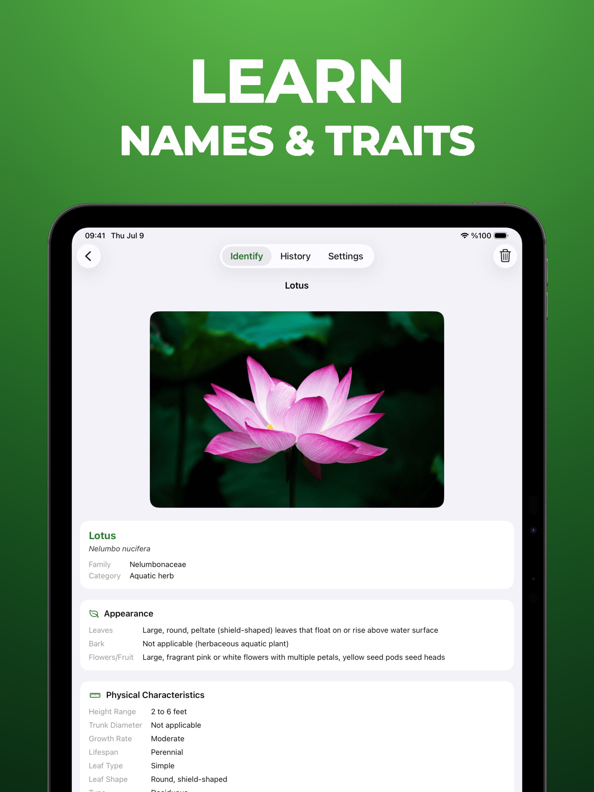 Tree Identifier - WoodBot screenshot 5