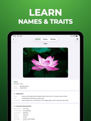 Tree Identifier - WoodBot iPad screenshot