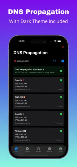 Capture d'écran de DNS Propagation sur iPhone 3