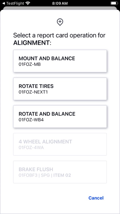 Service Flex screenshot-3