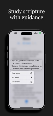 Risen - Bible Chat screenshot