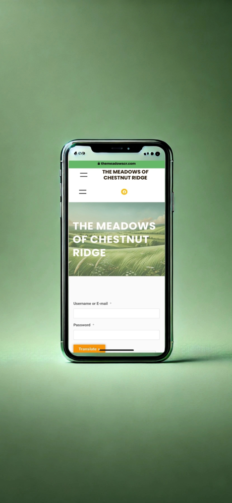 MeadowsCR screenshot 1