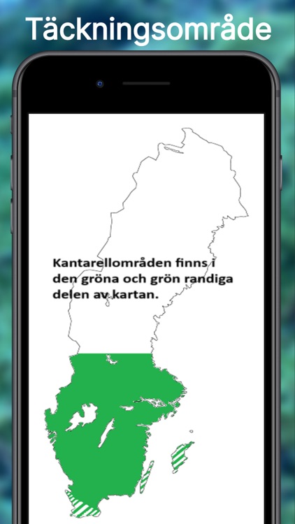 Kantarellappen screenshot-3