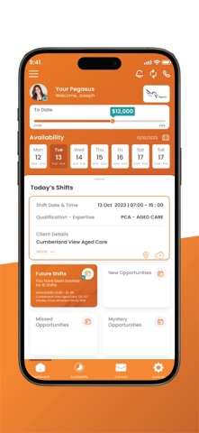 Pegasus Care - Ankoora screenshot