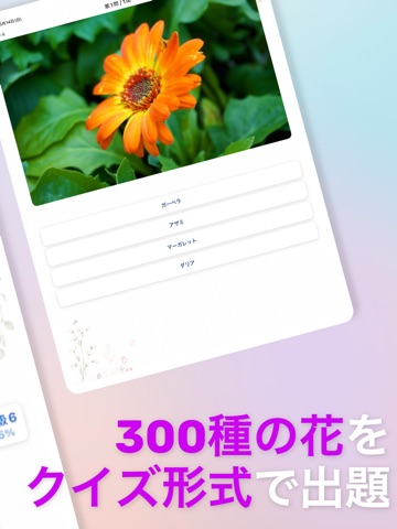 花の名前マスター300 iPad screenshot