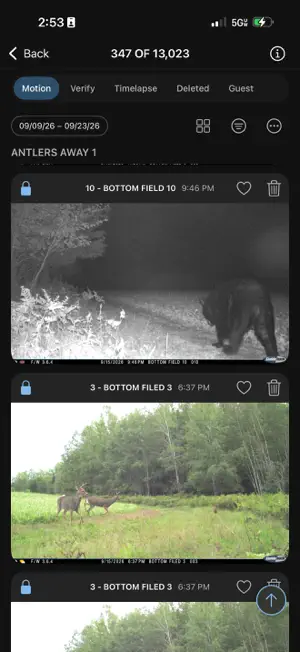 Cuddeback screenshot 3