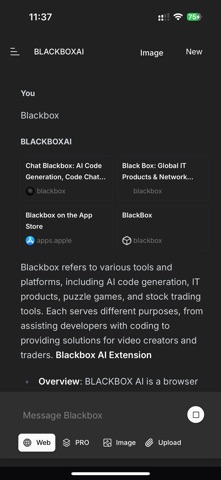 BLACKBOXAI screenshot 4