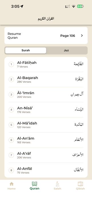 DeenPulse Screenshot 4 of 4