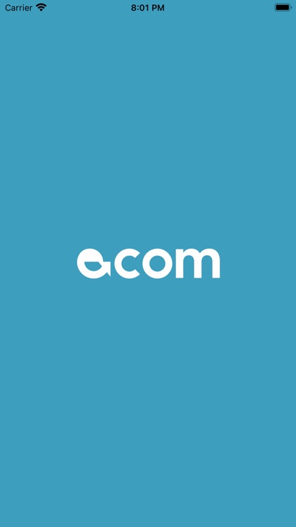 Ecom Payments