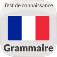 French Grammar Quiz