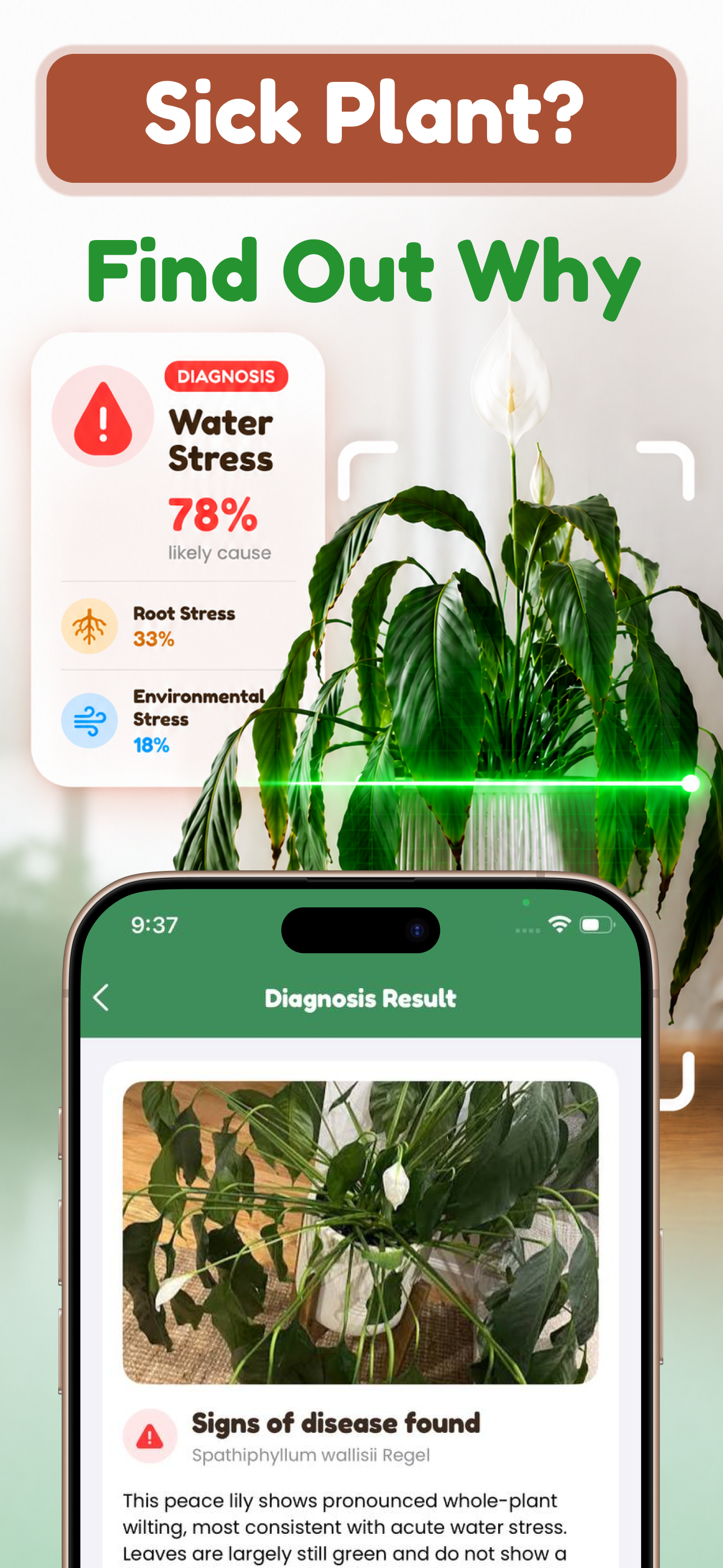 Tree and Plant Identifier screenshot 2