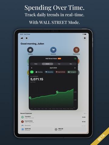 Aurum – Budget & Expenses iPad screenshot