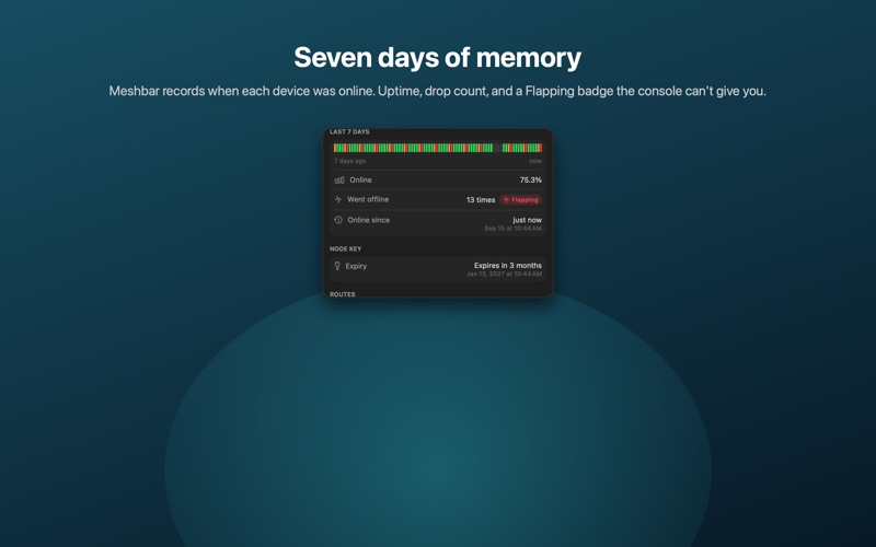 Meshbar: Tailnet Monitor screenshot 3