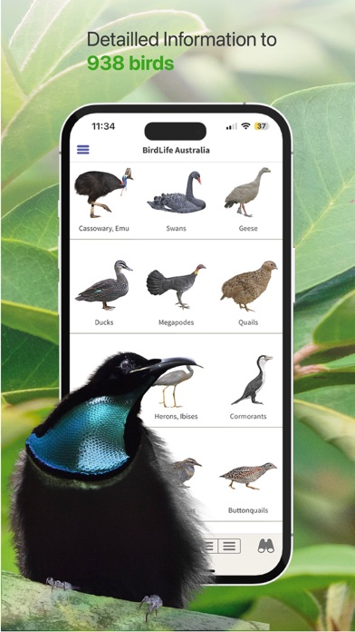 Birdly - BirdLife Australia Screenshot