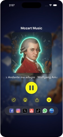 Amadeus Mozart Music iPhone screenshot