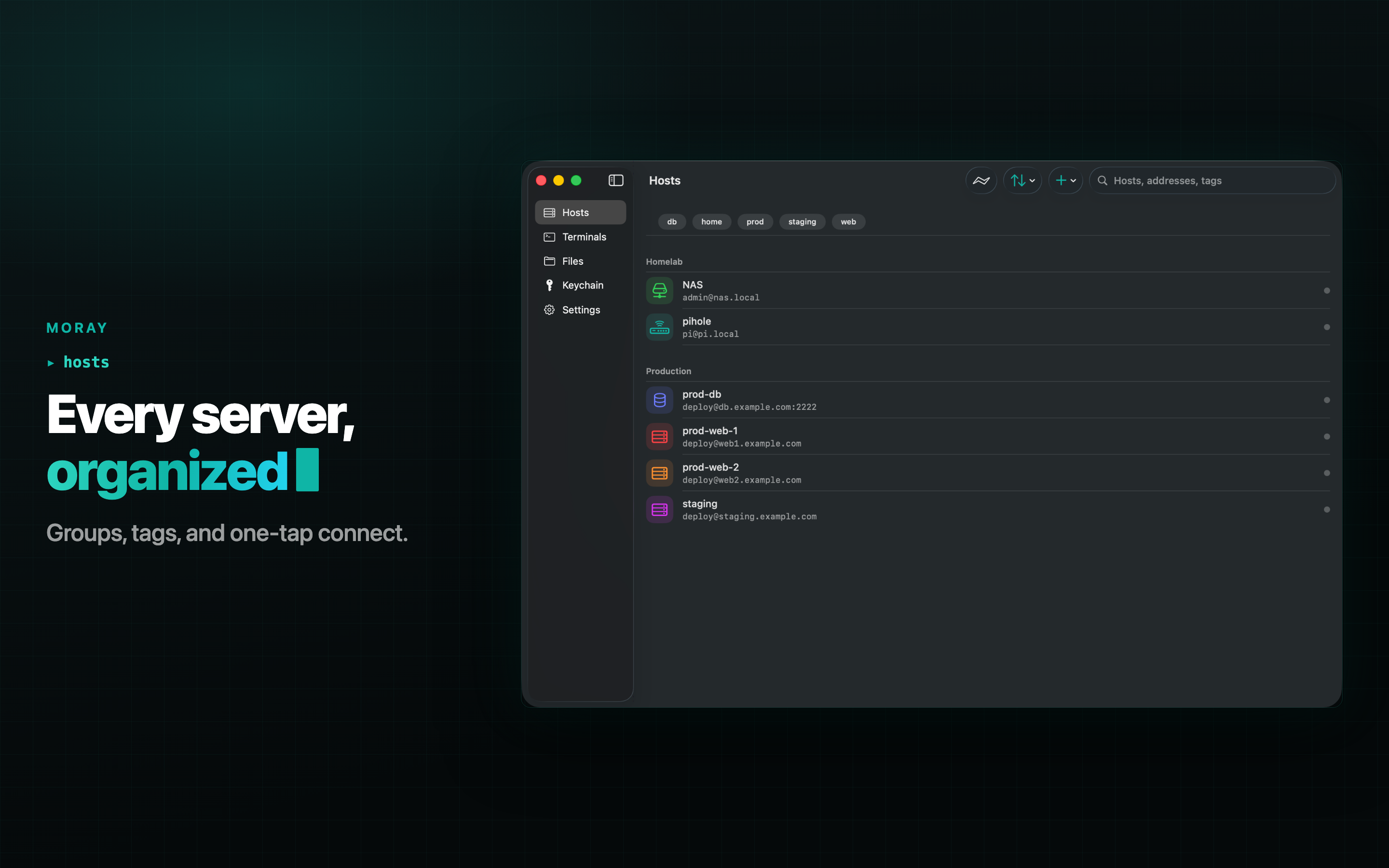 Moray: SSH, SFTP & Terminal screenshot 19
