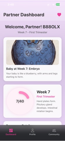 Gravida: Pregnancy & Family screenshot