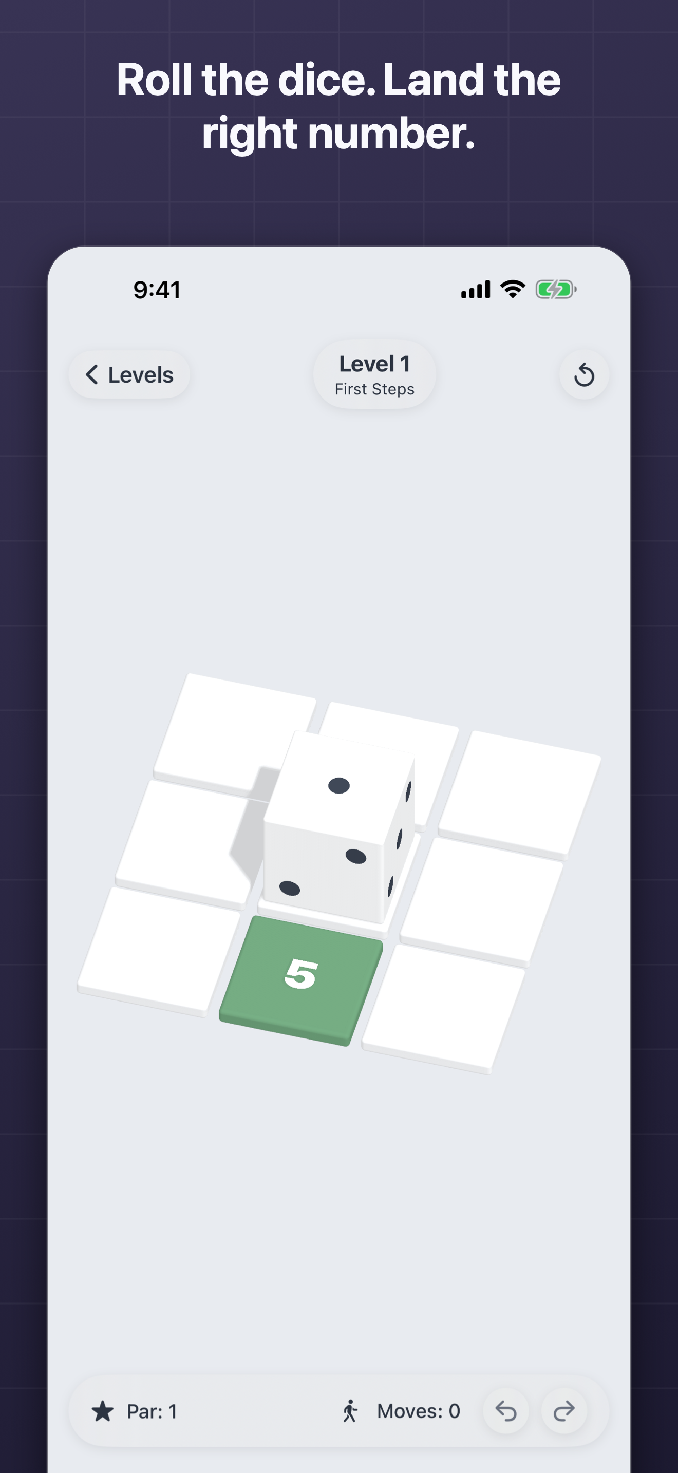 Numero: Dice Puzzle screenshot 6