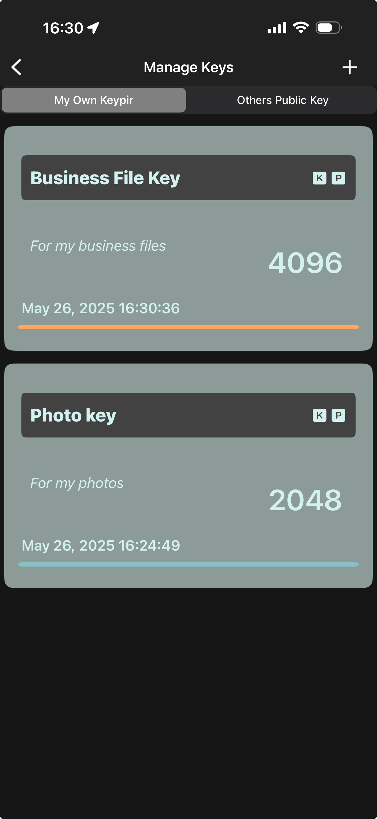 FileCryptor screenshot 3