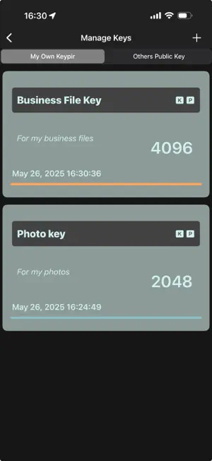 FileCryptor screenshot 3