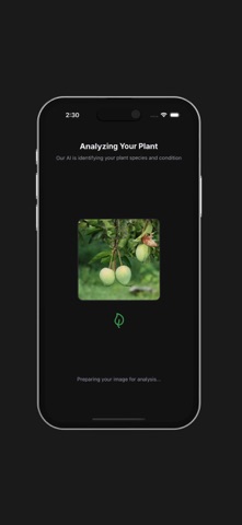 Plant Insights AI screenshot