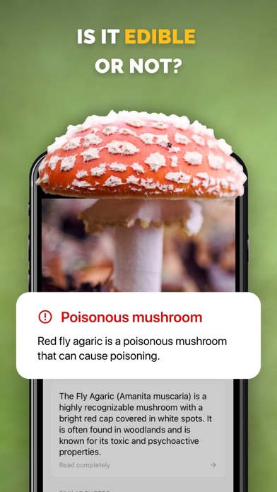 Mushroom identifier Picture ID Screenshot