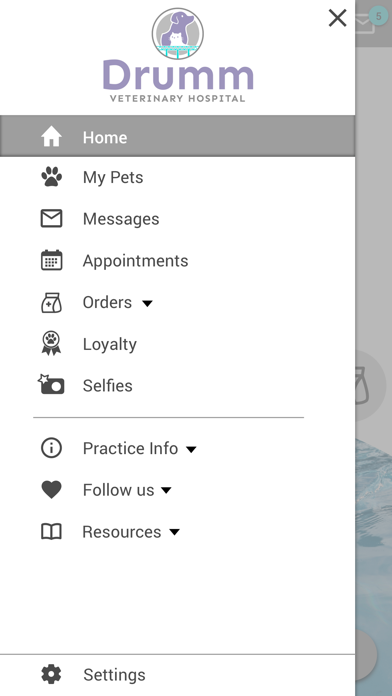 Drumm Vet Hospital Screenshot