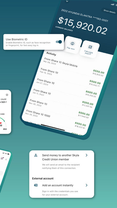 Skyla Mobile iPhone screenshot 2 - Finance app