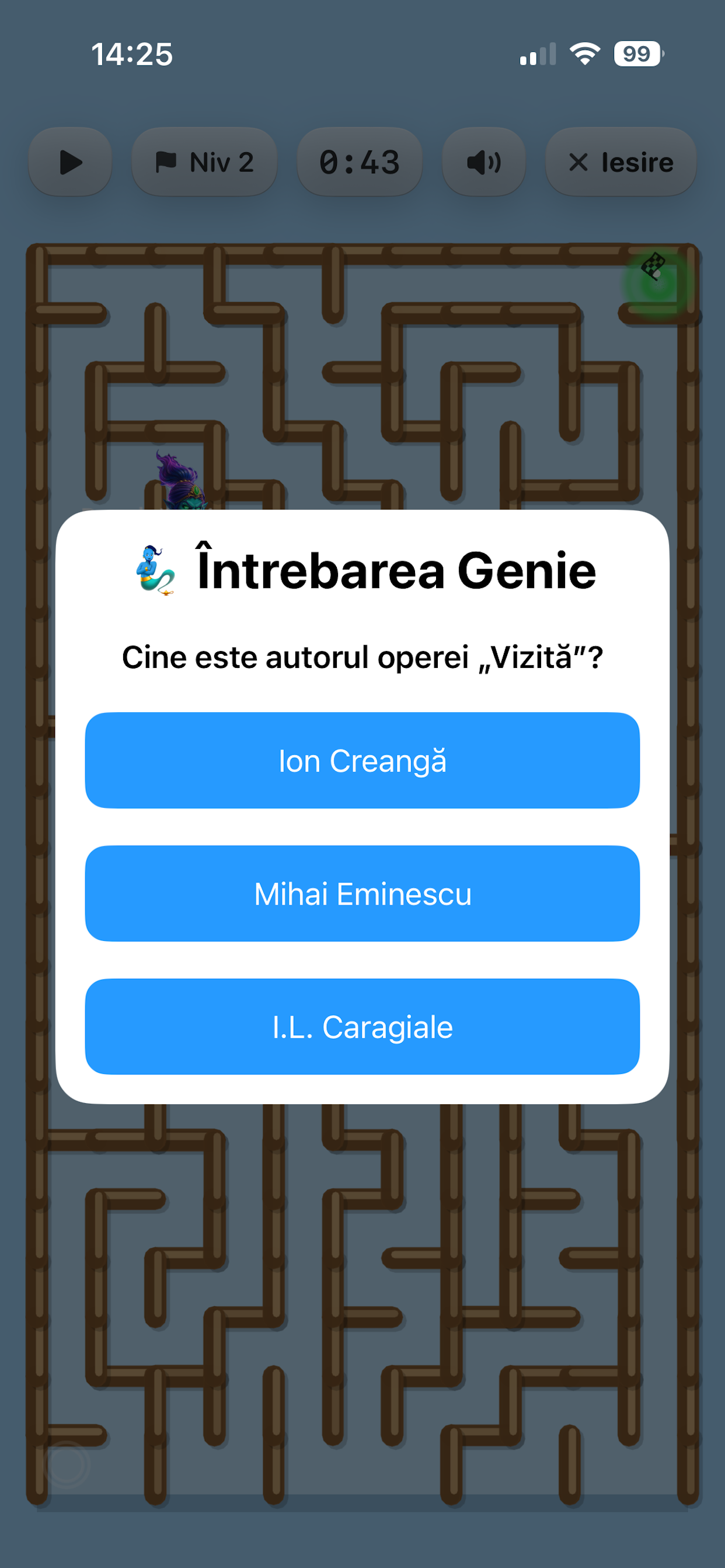 Labirintul Școlar