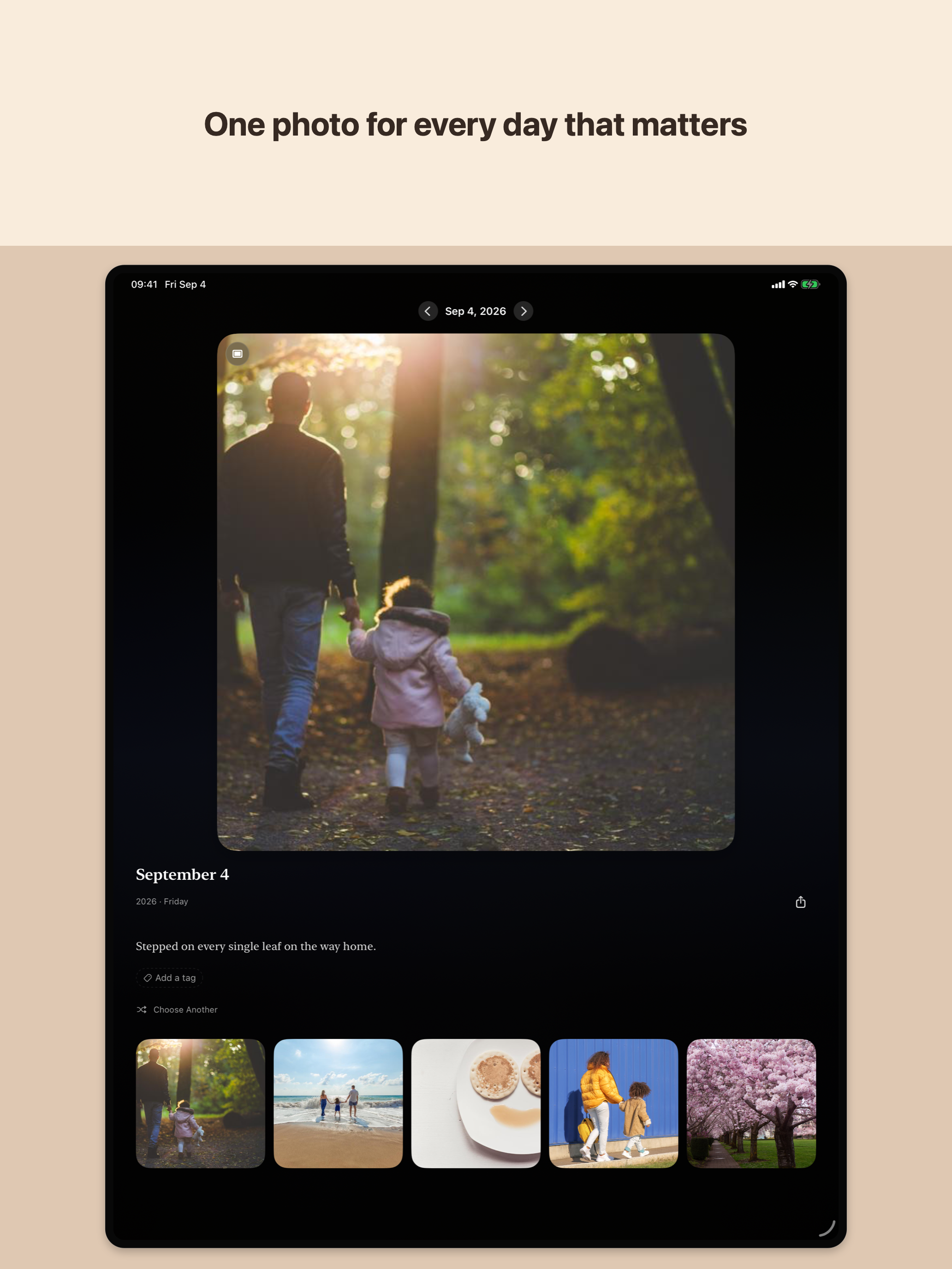 DailyAlbum: One Photo a Day screenshot 9