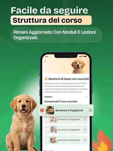 Vaidog: Addestramento Cani iPad screenshot 5