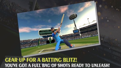 Epic Cricket - Real 3D Game Screenshot