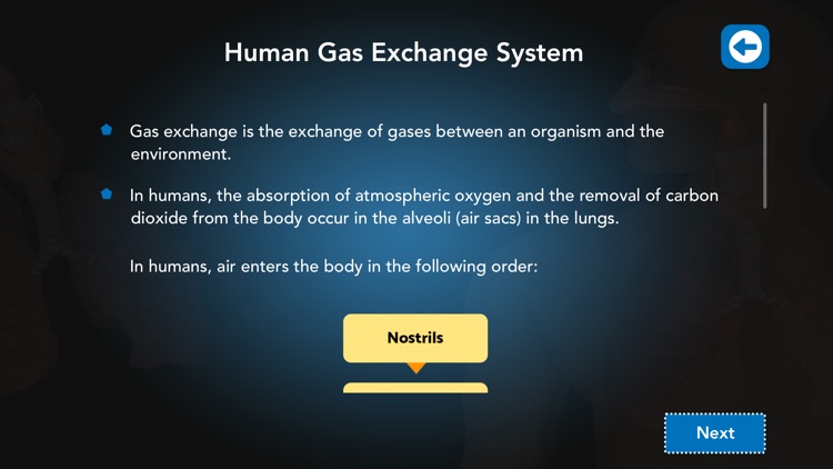 Cellular Respiration Process